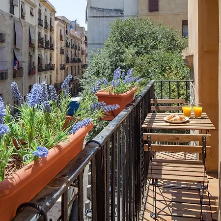 Habitat Carders Barcelona