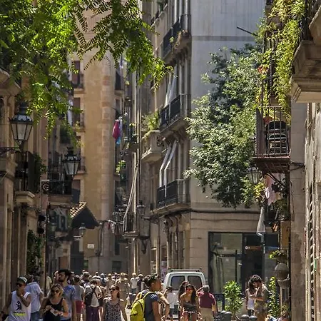 Habitat Carders * Barcelona
